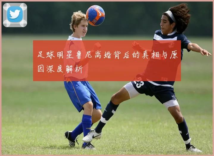足球明星鲁尼离婚背后的真相与原因深度解析