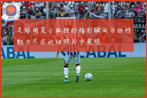 足球明星小狐狸的精彩瞬间与独特魅力尽在这组照片中展现