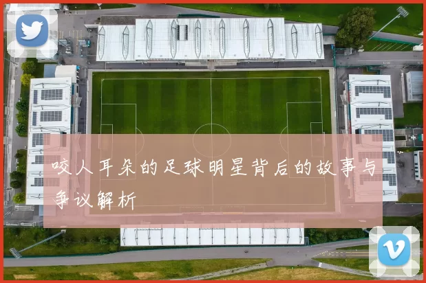 咬人耳朵的足球明星背后的故事与争议解析