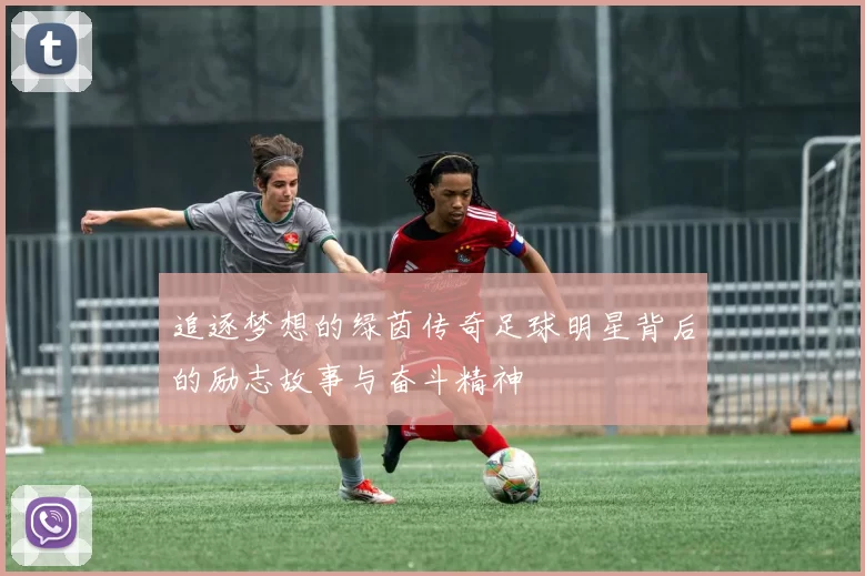 追逐梦想的绿茵传奇足球明星背后的励志故事与奋斗精神