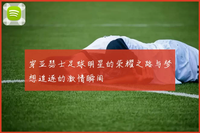 穿亚瑟士足球明星的荣耀之路与梦想追逐的激情瞬间