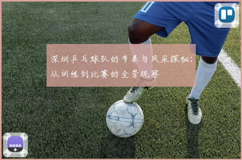 深圳乒乓球队的节奏与风采探秘：从训练到比赛的全景观察