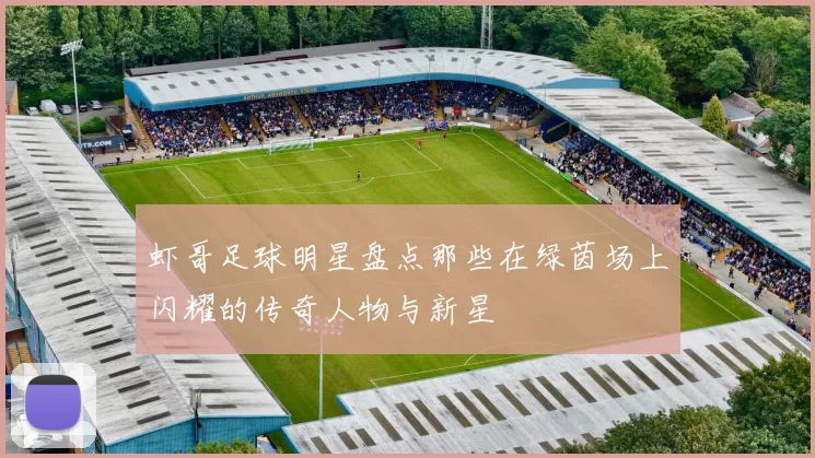 虾哥足球明星盘点那些在绿茵场上闪耀的传奇人物与新星