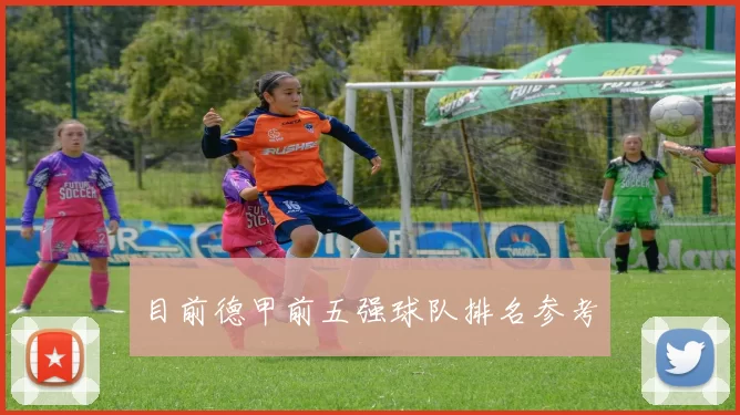 目前德甲前五强球队排名参考