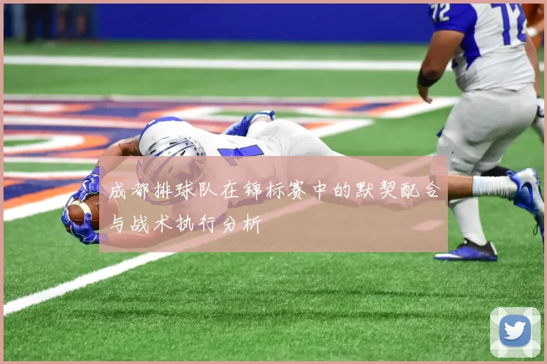 成都排球队在锦标赛中的默契配合与战术执行分析