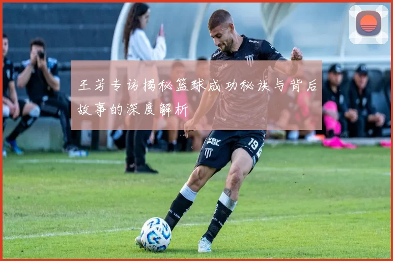 王芳专访揭秘篮球成功秘诀与背后故事的深度解析