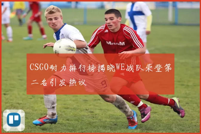 CSGO耐力排行榜揭晓WE战队荣登第二名引发热议