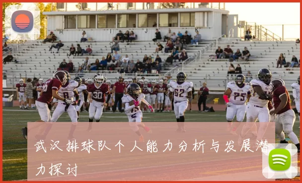 武汉排球队个人能力分析与发展潜力探讨