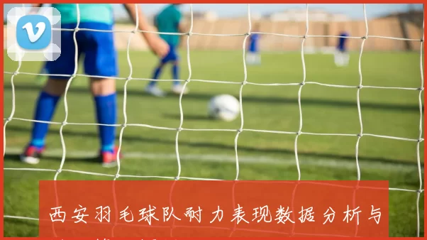 西安羽毛球队耐力表现数据分析与训练策略探讨