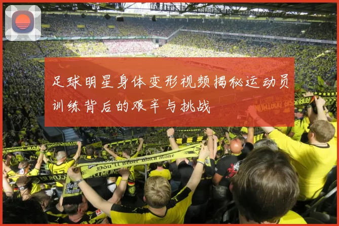 足球明星身体变形视频揭秘运动员训练背后的艰辛与挑战