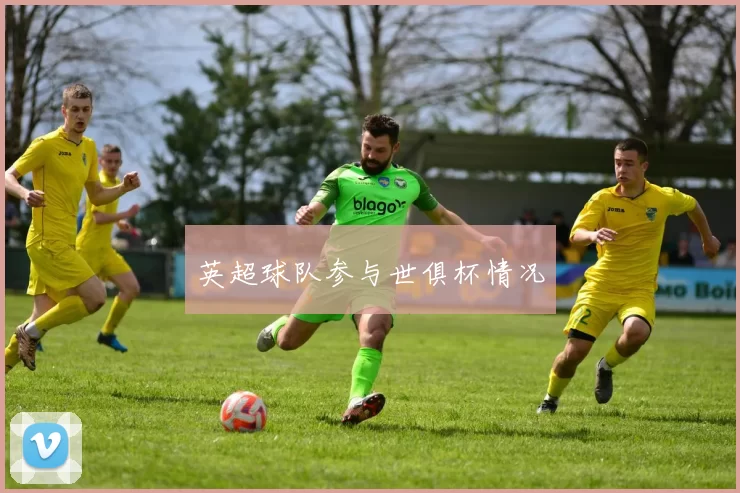 英超球队参与世俱杯情况