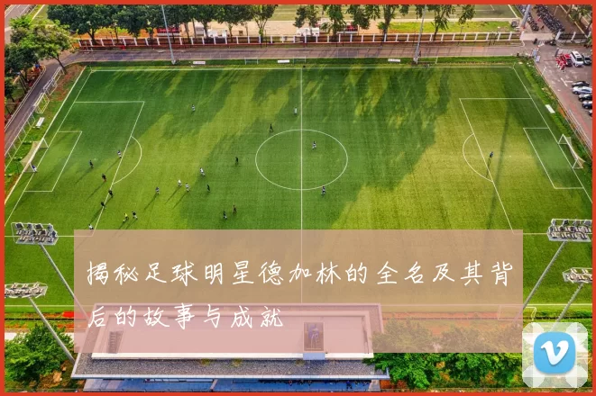 揭秘足球明星德加林的全名及其背后的故事与成就