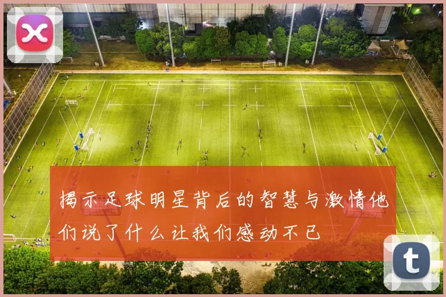 揭示足球明星背后的智慧与激情他们说了什么让我们感动不已