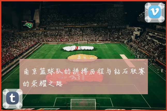 南京篮球队的拼搏历程与钻石联赛的荣耀之路