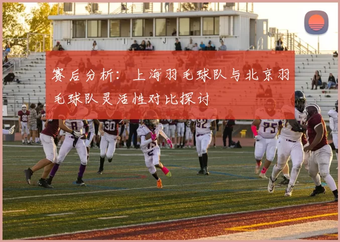 赛后分析：上海羽毛球队与北京羽毛球队灵活性对比探讨