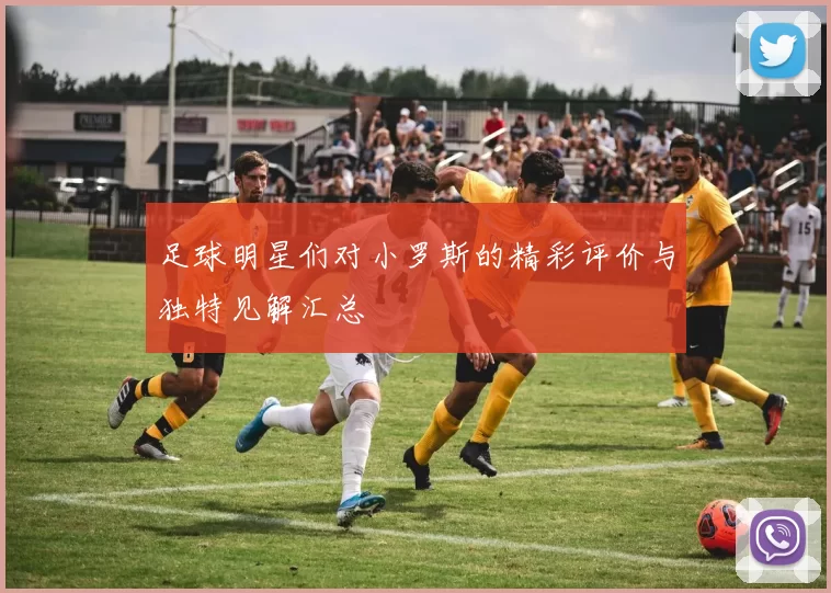 足球明星们对小罗斯的精彩评价与独特见解汇总
