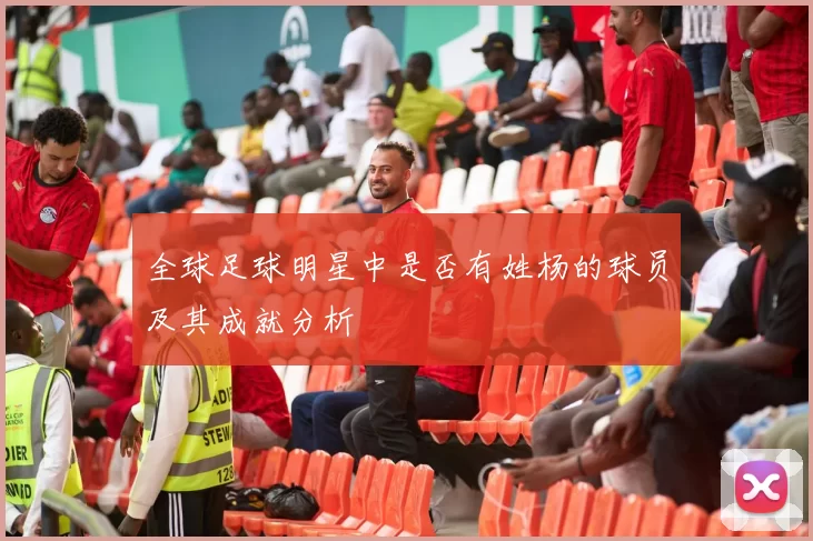 全球足球明星中是否有姓杨的球员及其成就分析