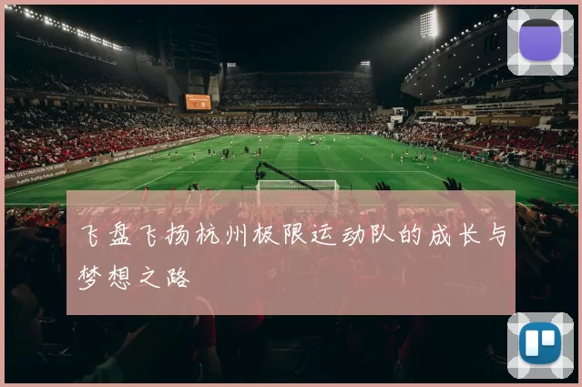飞盘飞扬杭州极限运动队的成长与梦想之路
