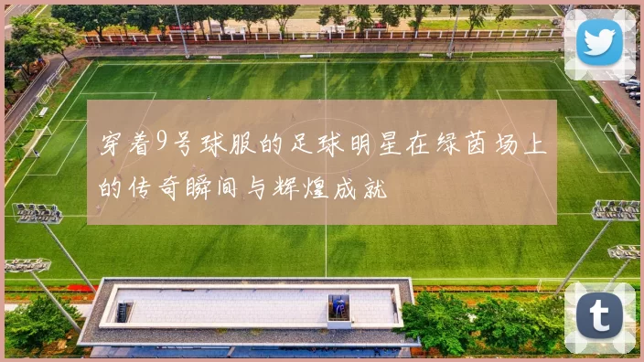 穿着9号球服的足球明星在绿茵场上的传奇瞬间与辉煌成就